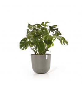 OSLO 55 TAUPE OSLO 55 TAUPE