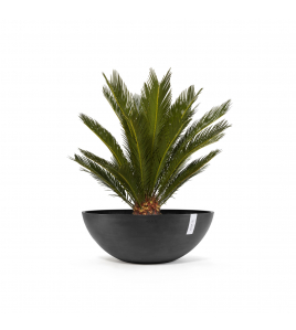 VIENNA 70 DARK GREY VIENNA 70 DARK GREY