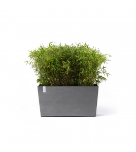 PARIS WHEELS 100 GREY PARIS WHEELS 100 GREY