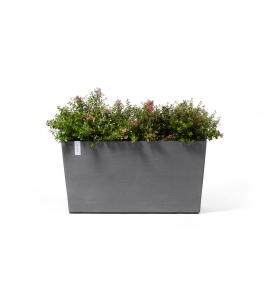 PARIS WHEELS 100 GREY PARIS WHEELS 100 GREY