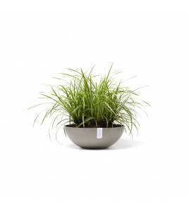 VIENNA 50 TAUPE VIENNA 50 TAUPE