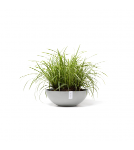 VIENNA 50 WHITE GREY VIENNA 50 WHITE GREY