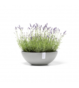 VIENNA 50 WHITE GREY VIENNA 50 WHITE GREY