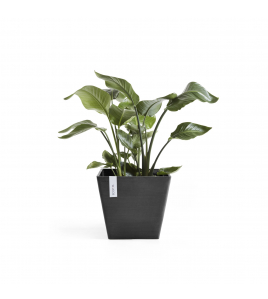 ROTTERDAM 40 DARK GREY ROTTERDAM 40 DARK GREY