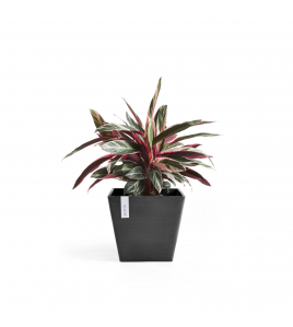 ROTTERDAM 40 DARK GREY ROTTERDAM 40 DARK GREY