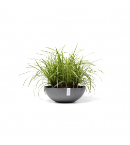 VIENNA 50 GREY VIENNA 50 GREY