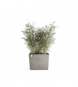 PARIS WHEELS 85 TAUPE PARIS WHEELS 85 TAUPE