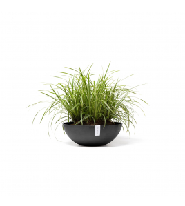 VIENNA 50 DARK GREY VIENNA 50 DARK GREY