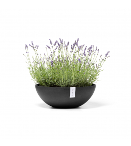 VIENNA 50 DARK GREY VIENNA 50 DARK GREY