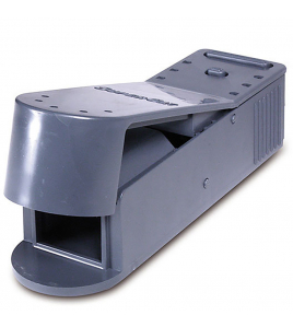 MUIZENVAL SUPERCAT CATCH ALIVE