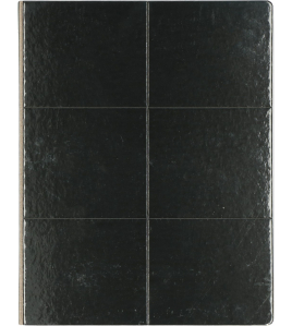 INSECTEN LIJMPLAAT ZWART