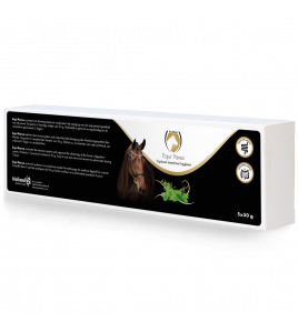 EXCELLENT HORSE PAREX 5 X 50 G
