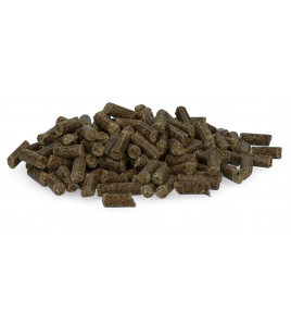 EXCELLENT HORSE PAREX 5 X 50 G