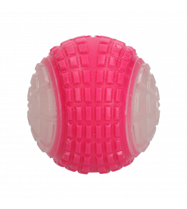 DOG COMETS GLOW IN THE DARK MOON BAL L ROZE