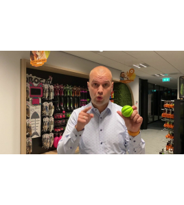 DOG COMETS SWIFT TUTTLE MET TOUW ORANJE