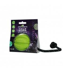 DOG COMETS HALE BOPP MET TOUW GROEN