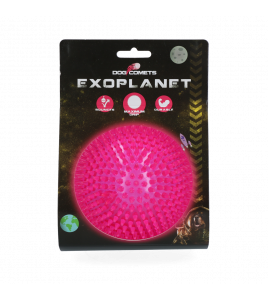 DOG COMETS EXOPLANET EGELBAL L ROZE