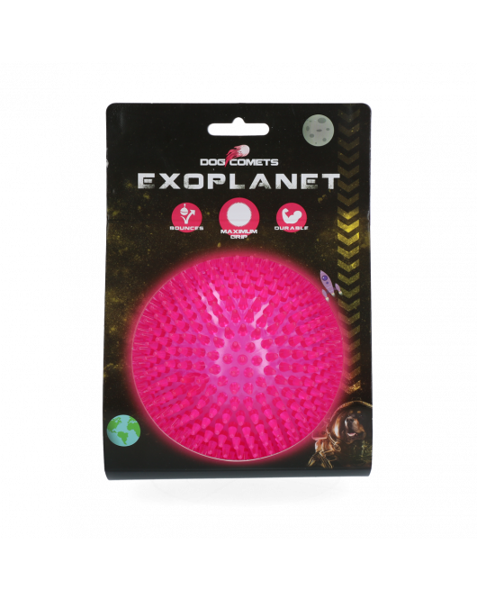 DOG COMETS EXOPLANET EGELBAL L ROZE DOG COMETS EXOPLANET EGELBAL L ROZE