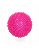 DOG COMETS EXOPLANET EGELBAL L ROZE DOG COMETS EXOPLANET EGELBAL L ROZE