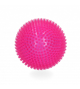 DOG COMETS EXOPLANET EGELBAL L ROZE