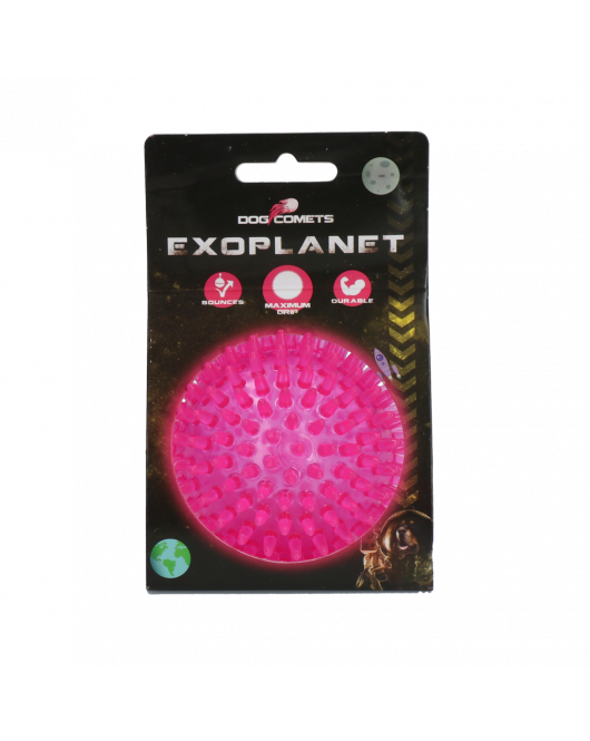 DOG COMETS EXOPLANET EGELBAL M ROZE DOG COMETS EXOPLANET EGELBAL M ROZE