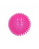 DOG COMETS EXOPLANET EGELBAL M ROZE DOG COMETS EXOPLANET EGELBAL M ROZE