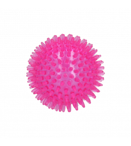 DOG COMETS EXOPLANET EGELBAL M ROZE