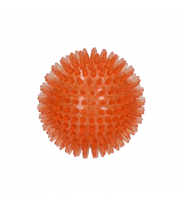 DOG COMETS EXOPLANET EGELBAL M ORANJE