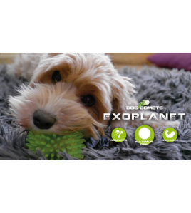 DOG COMETS EXOPLANET EGELBAL M ORANJE