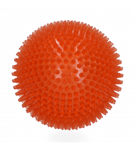 DOG COMETS EXOPLANET EGELBAL L ORANJE