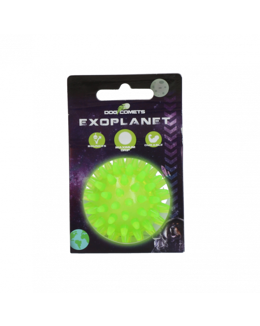 DOG COMETS EXOPLANET EGELBAL S GROEN DOG COMETS EXOPLANET EGELBAL S GROEN