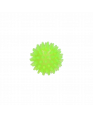 DOG COMETS EXOPLANET EGELBAL S GROEN DOG COMETS EXOPLANET EGELBAL S GROEN