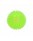 DOG COMETS EXOPLANET EGELBAL M GROEN DOG COMETS EXOPLANET EGELBAL M GROEN