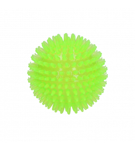 DOG COMETS EXOPLANET EGELBAL M GROEN