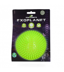 DOG COMETS EXOPLANET EGELBAL L GROEN