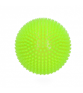 DOG COMETS EXOPLANET EGELBAL L GROEN