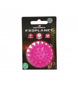 DOG COMETS EXOPLANET EGELBAL S ROZE