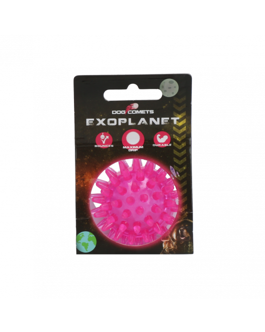 DOG COMETS EXOPLANET EGELBAL S ROZE DOG COMETS EXOPLANET EGELBAL S ROZE