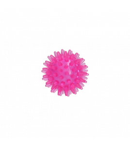 DOG COMETS EXOPLANET EGELBAL S ROZE