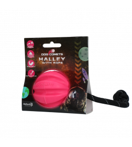 DOG COMETS HALLEY MET TOUW ROZE