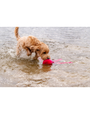 DOG COMETS ALIEN OCTO M ROZE DOG COMETS ALIEN OCTO M ROZE