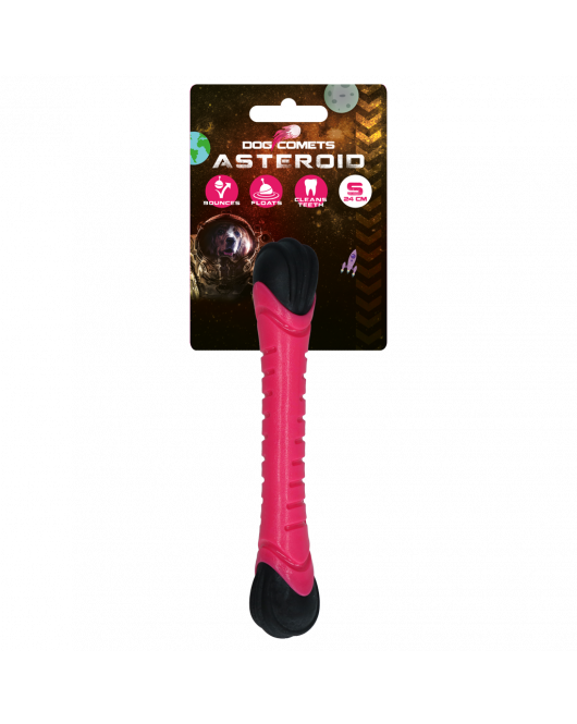 DOG COMETS ASTEROID WERPSTOK S ROZE DOG COMETS ASTEROID WERPSTOK S ROZE