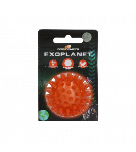 DOG COMETS EXOPLANET EGELBAL S ORANJE