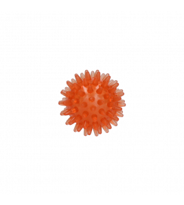 DOG COMETS EXOPLANET EGELBAL S ORANJE