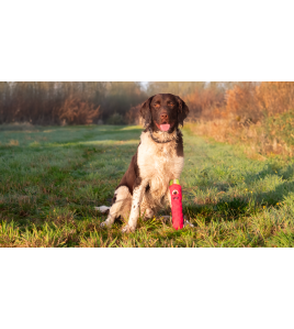 DOG COMETS INVADERS GROEN M