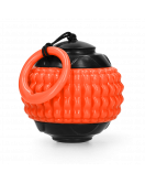 DOG COMETS BLAZAR JET ORANJE DOG COMETS BLAZAR JET ORANJE