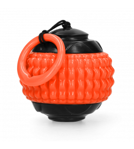 DOG COMETS BLAZAR JET ORANJE