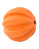 DOG COMETS SWIFT TUTTLE ORANJE DOG COMETS SWIFT TUTTLE ORANJE