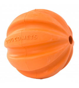 DOG COMETS SWIFT TUTTLE ORANJE