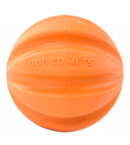 DOG COMETS SWIFT TUTTLE ORANJE